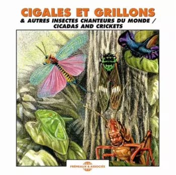 Cigales Et Grillons / Cicadas And Crickets