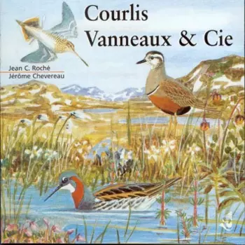 Courlis, Vanneaux & Cie