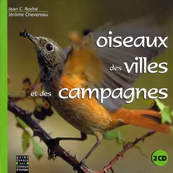Oiseaux Des Villes Et Des Campagnes