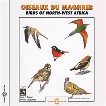 Oiseaux Du Maghreb - Birds Of North-West Africa
