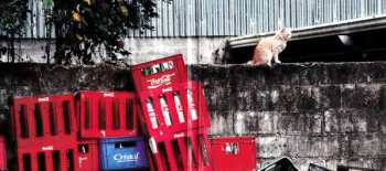 CD Jean Leloup: À Paradis City