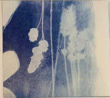 CD Jeanines: How Long Can It Last