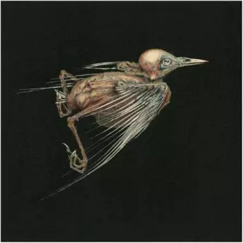 Jenny Hval: Meshes Of Voice