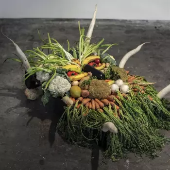 Jesse Osborne Lanthier: Left My Brain At Cab Paixano  Ost