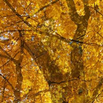 LP Jessica Ackerley: All Of The Colours Are Singing