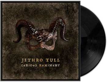 Album Jethro Tull: Curious Ruminant