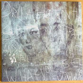 2LP Jim White: Drill A Hole In That Substrate And Tell Me What You See