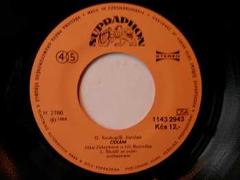 SP Jitka Zelenková: Někdo Nám Do Toho Vlez / Čekám