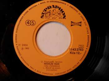 SP Jitka Zelenková: Jsem Tady Já (Come Vorrei) • Nedělní Hon