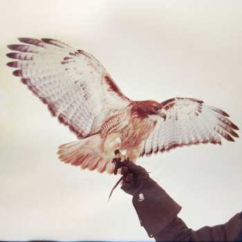 Album Jm Airis: Wild Birds