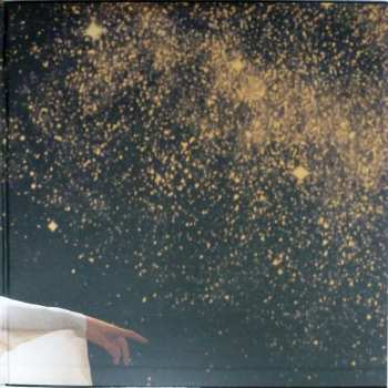 2LP Joanna Newsom: Divers