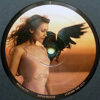 2LP Joanna Newsom: Divers