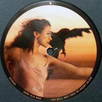 2LP Joanna Newsom: Divers