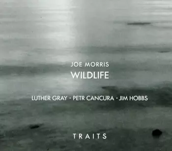 Joe Morris Wildlife: Traits