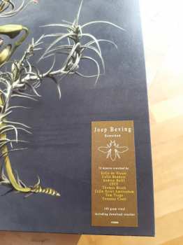 2LP Joep Beving: Conatus