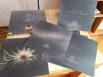 2LP Joep Beving: Conatus