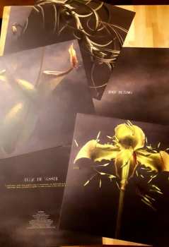 2LP Joep Beving: Conatus