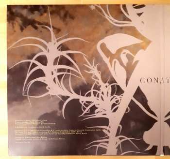 2LP Joep Beving: Conatus