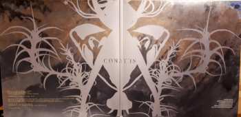 2LP Joep Beving: Conatus