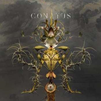 CD Joep Beving: Conatus DLX