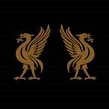 LP Joey Cape: Liverbirds