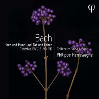 CD Johann Sebastian Bach: Kantaten Bwv 6,99,147