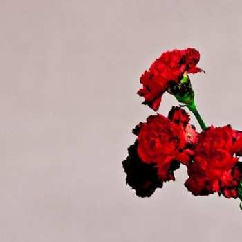 CD John Legend: Love In The Future 