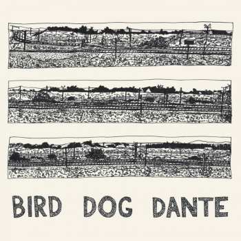 CD John Parish: Bird Dog Dante