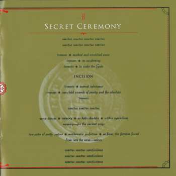 CD John Zorn: Templars - In Sacred Blood