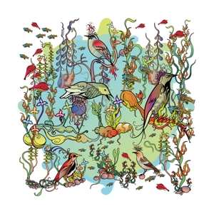 LP John Zorn: The Gentle Side PIC | LTD