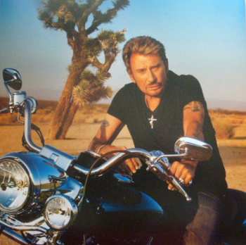 2LP Johnny Hallyday: Ça Ne Finira Jamais LTD | CLR