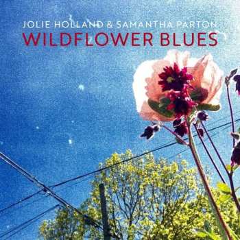 CD Jolie Holland: Wildflower Blues