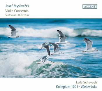 Album Collegium 1704: Violin Concertos, Sinfonia Et Ouverture