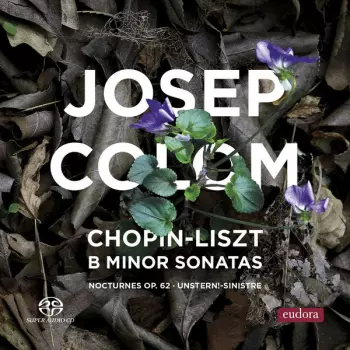 Frédéric Chopin: B Minor Sonatas