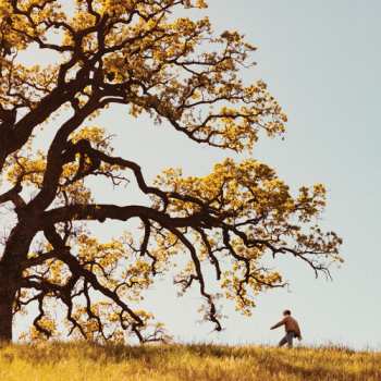 Album Joshua Bassett: The Golden Years