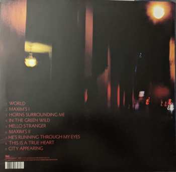 2LP Julia Holter: Loud City Song