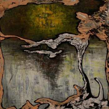 LP Julian Lynch: Terra