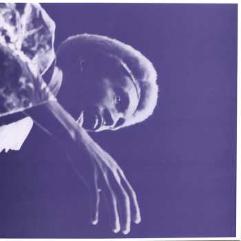 2LP/Box Set Julius Eastman: The Nigger Series CLR | LTD