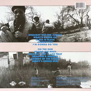 LP Jungle Brothers: Straight Out The Jungle CLR