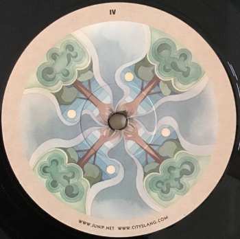 2LP Junip: Fields
