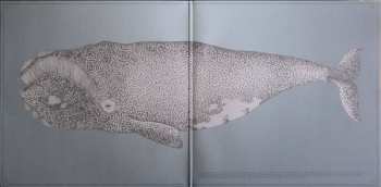 LP Junip: Junip