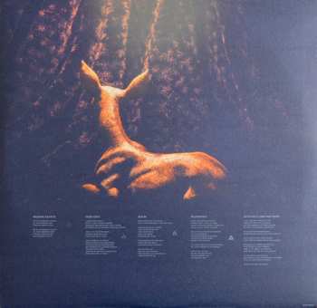 LP Junip: Junip