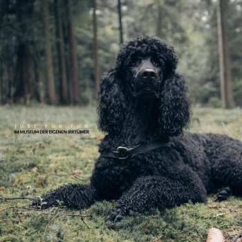 Album Just For Fun: Im Museum Der Eigenen Irrtümer
