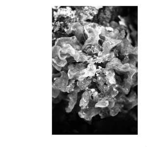 Album Ka:mos: Ka:mos