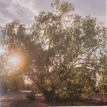 LP Kankawa Nagarra: Wirlmarni