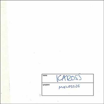 CD Kaross: Molossus