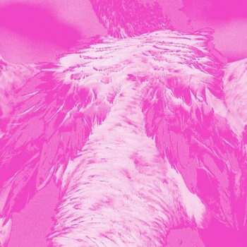 CD Kate Carr: A Field Guide To Phantasmic Birds