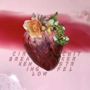 Album Ken Stringfellow: Circuit Breaker