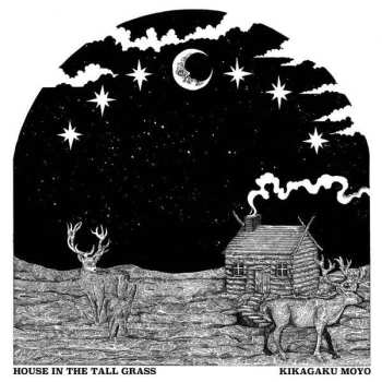 LP Kikagaku Moyo: House In The Tall Grass