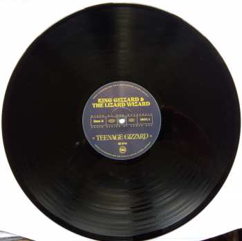 LP King Gizzard And The Lizard Wizard: Teenage Gizzard